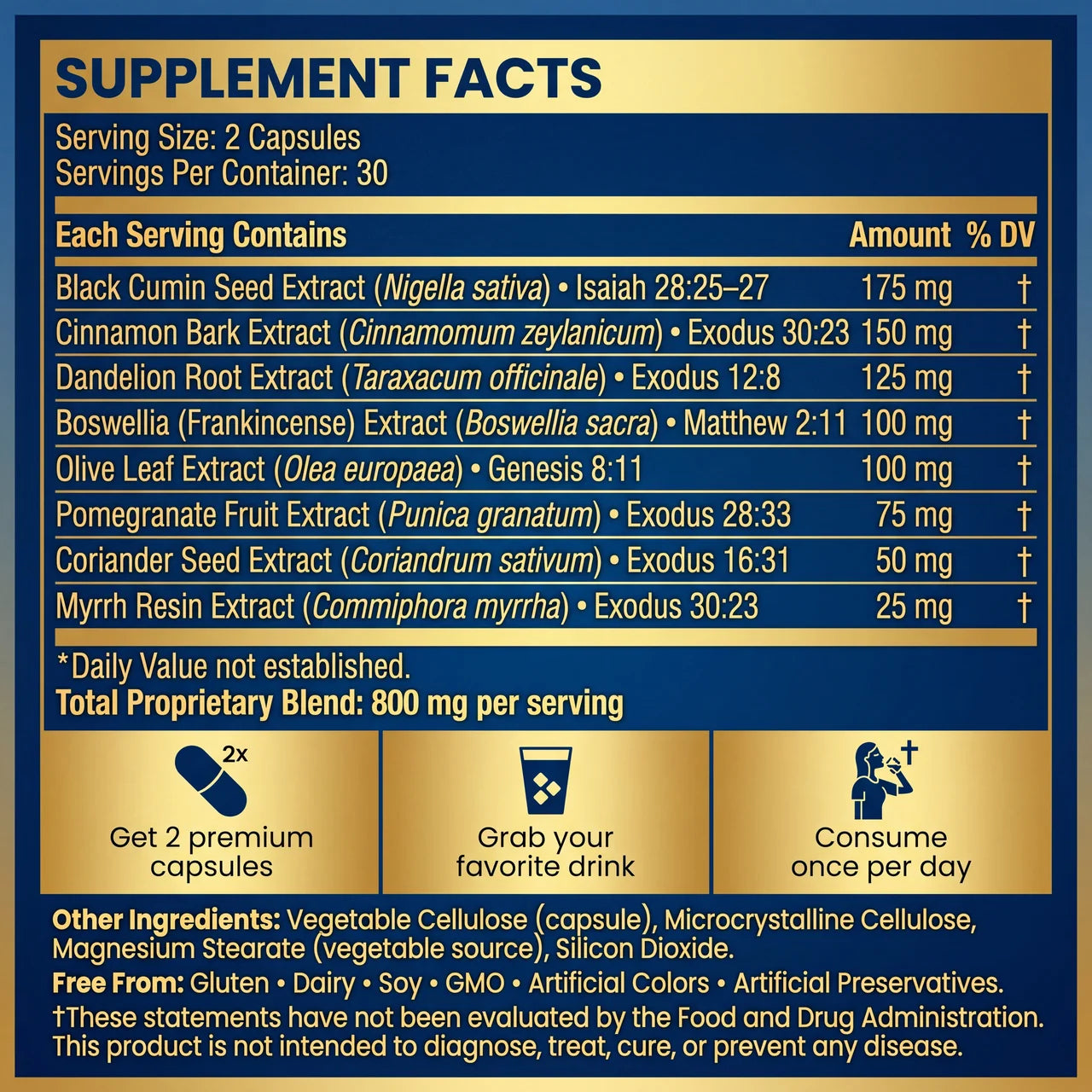 Christ Biblical Capsules