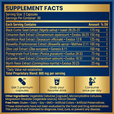 Christ Biblical Capsules