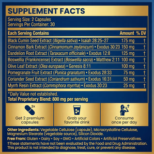 Christ Biblical Capsules