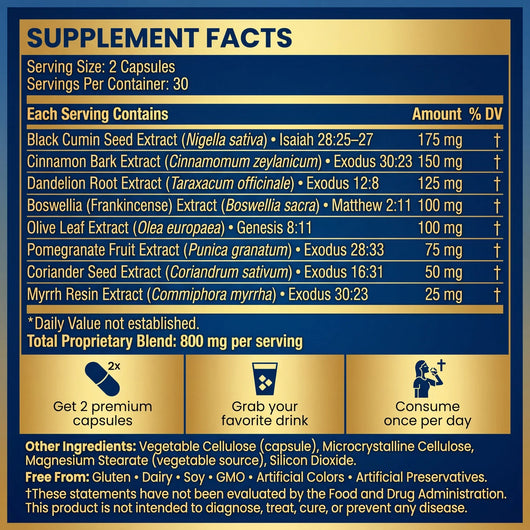 Christ Biblical Capsules